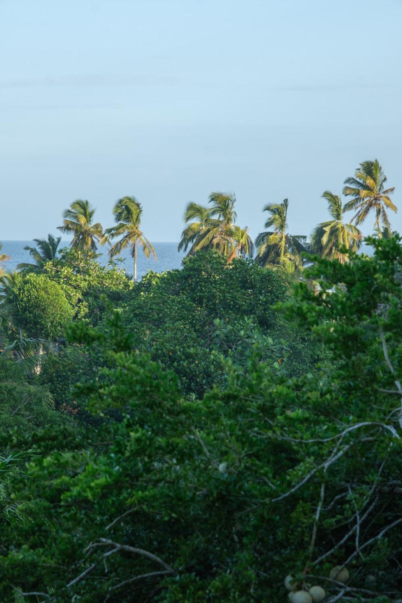 The Jungle View Hotel Mirissa Eksteriør billede
